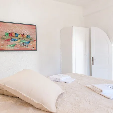 Artemis מגלוחורי