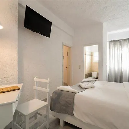 Artemis Hotel 4*